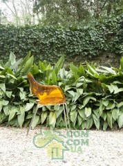 Кресло Papatya Opal глянец