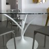 Стеклянный обеденный стол Calligaris Acacia CS/4071-V 120