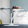 Стеклянный обеденный стол Calligaris Acacia CS/4071-V 120