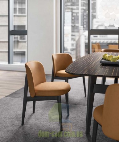 Элегантный стул  Abrey Calligaris CS2040