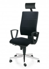 Стильное офисное кресло Sesta CO2