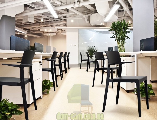 Универсальный стул с подлокотниками Plus JMS Siesta 093