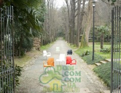 Стул Papatya Vital-S