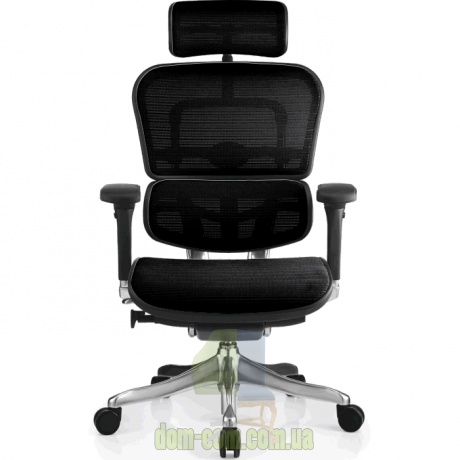 Кресло Comfort Seating Group Ergohuman plus сетка