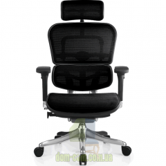 Кресло Comfort Seating Group Ergohuman plus сетка