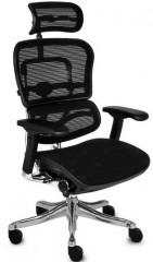 Кресло Comfort Seating Group Ergohuman plus сетка