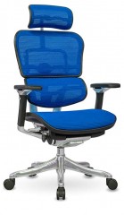 Кресло Comfort Seating Group Ergohuman plus сетка