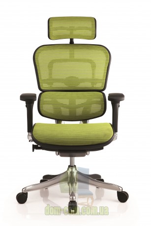 Кресло Comfort Seating Group Ergohuman plus сетка