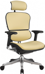 Кресло Comfort Seating Group Ergohuman plus leather