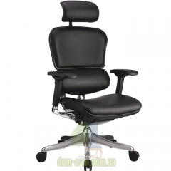 Кресло Comfort Seating Group Ergohuman plus leather