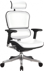 Кресло Comfort Seating Group Ergohuman plus leather