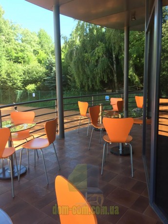 Стул из гнутой фанеры Delta Ivo