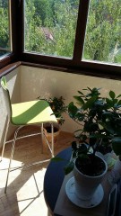 Стул барный из гнутой фанеры Delta Luka