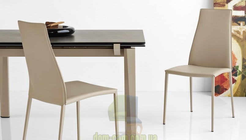 Современный стул в регенерированной коже Calligaris Aida CS1452
