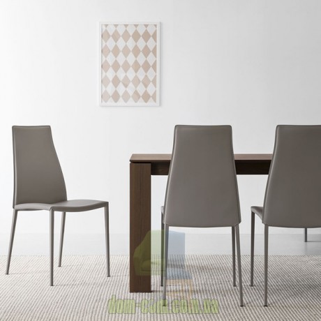 Современный стул в регенерированной коже Calligaris Aida CS1452