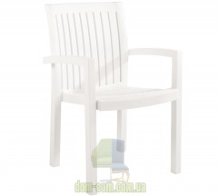Кресло пластиковое Papatya Neta