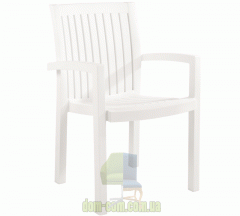 Кресло пластиковое Papatya Neta