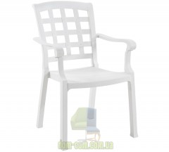 Кресло пластиковое Papatya Pasha