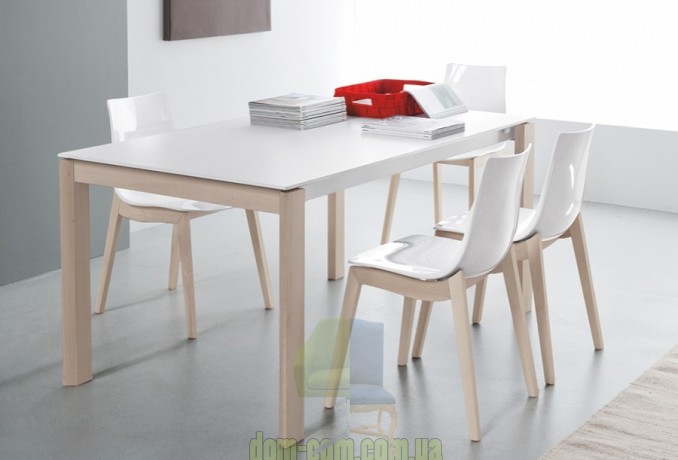 Стул из сочетания дерева и технополимера Connubia Led woodCB/1507