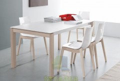 Стул из сочетания дерева и технополимера Connubia Led woodCB/1507