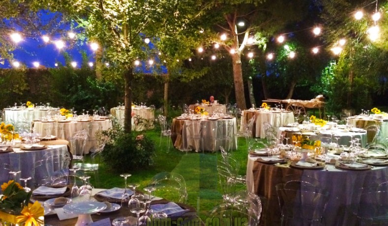 Стул SCAB Design Titi 2330 с необычной спинкой