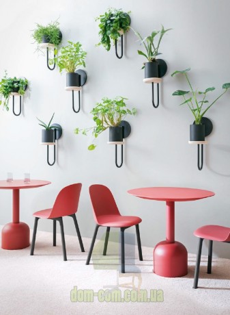 Дизайнерский стул обтекаемой формы на деревянных ногах Miniforms Mariolina