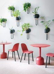 Дизайнерский стул обтекаемой формы на деревянных ногах Miniforms Mariolina