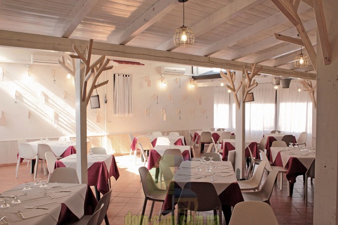 SCAB Design Piu штабелируемый стул из технополимера