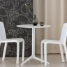Стул в ярких расцветках Pedrali Snow 300