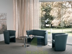 Мягкий кожаный диван Gaber DUCA 