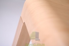 Стул Ton Era 389 (311 389) 