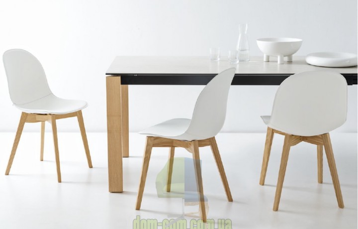 Стул полипропиленовый Connubia Academy CB/1665