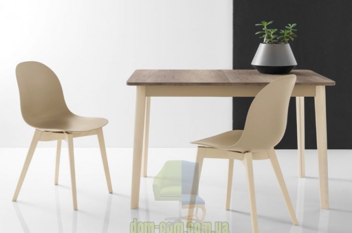 Стул полипропиленовый Connubia Academy CB/1665