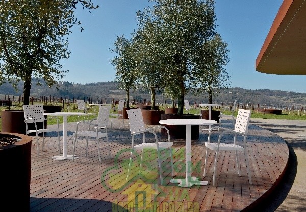 Стул с подлокотниками Papatya Karea